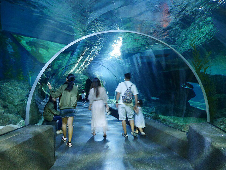 SEA LIFE Bangkok aquarium tunnel