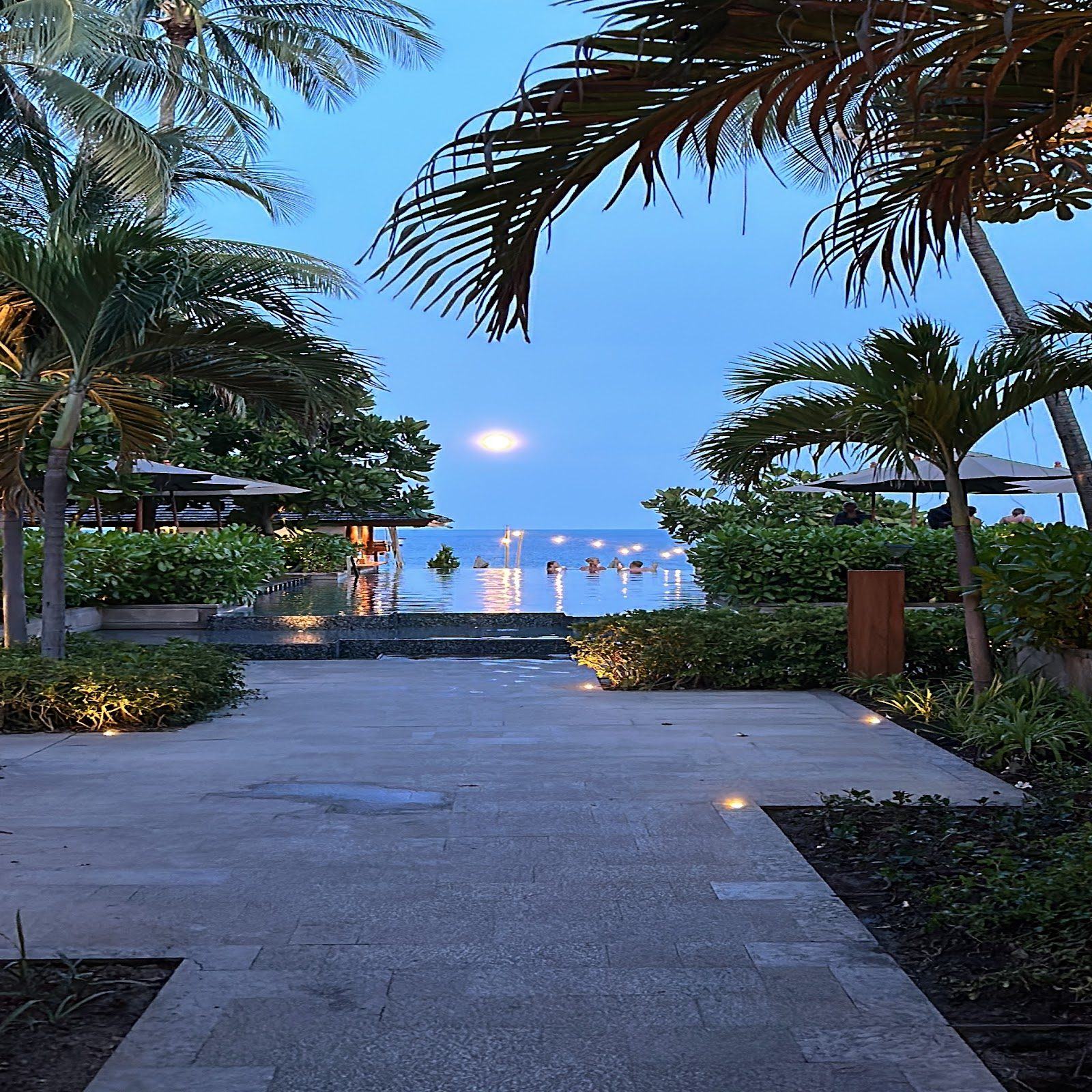 Palm-framed walkway to the sea under a full moon